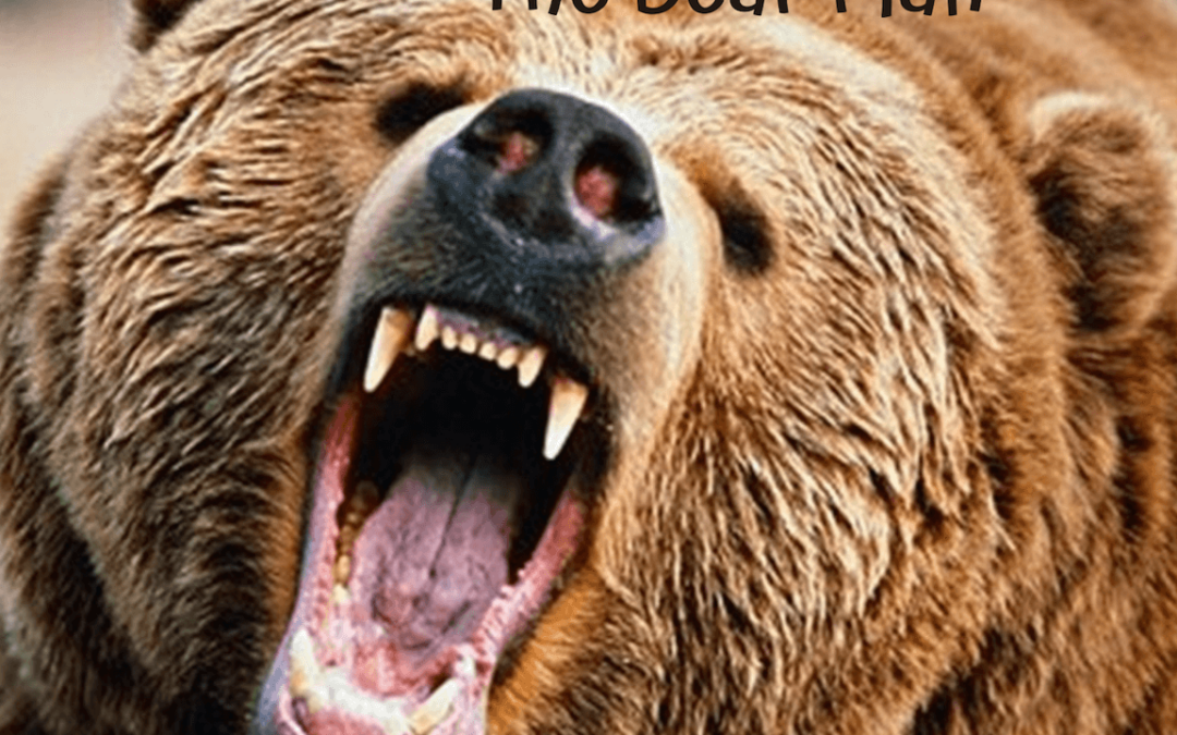 Jim VanSteenhouse – The Bear Man